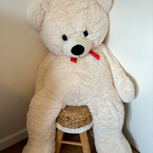 location de décoration valence